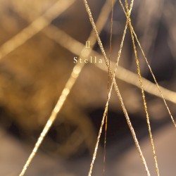 The Best of Chouchou [2007–2017] II Stella