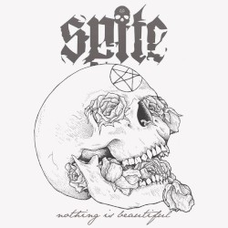 Nothing Is Beautiful