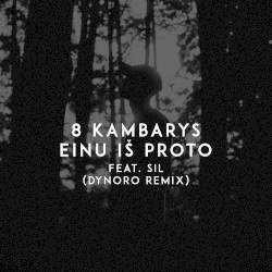 Einu iš proto (Dynoro remix)