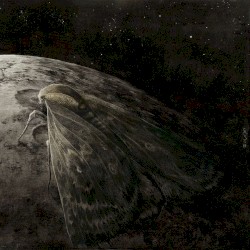 Moth and the Moon