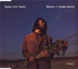 Break It Down Again