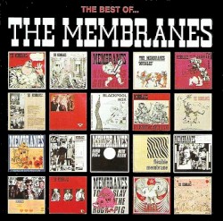The Best of The Membranes