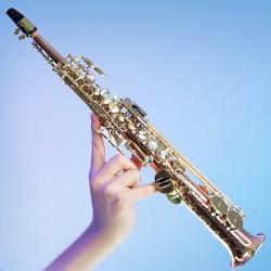 Field of Hopes and Dreams (From "Deltarune")