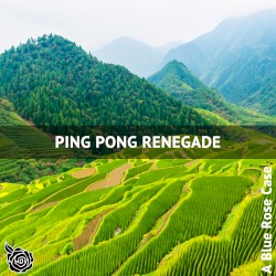 Ping Pong Renegade