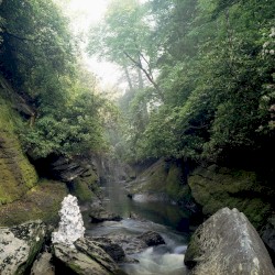 Keep Me In Your Pocket