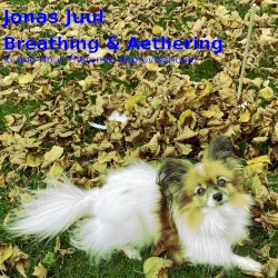 Breathing & Aethering (5 one Hour Theremin Improvisations)