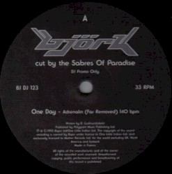 Björk Cut by the Sabres of Paradise