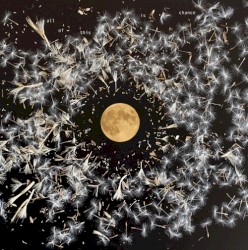 All of This Is Chance