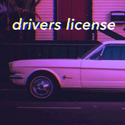 drivers license