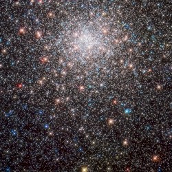 M28