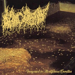 Immersed in Mortiferous Enmities