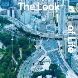 The Look of Life (Instrumental)