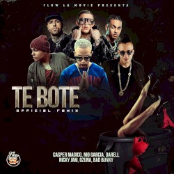 Te boté (remix)