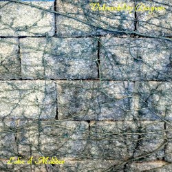 Vulnerability Diagnosis