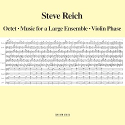 Steve Reich: Octet - Music for a Large Ensemble - Violin Phase