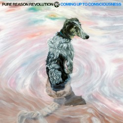 Coming Up to Consciousness