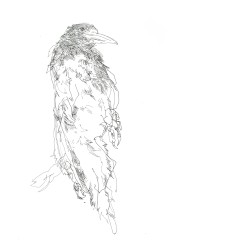 Wild Gestures Toward an Empty Sky