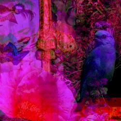 Crash for Hi‐Fi Tapes