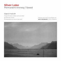 Permanent Amnesy / Seeed