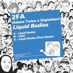 Liquid Bodies