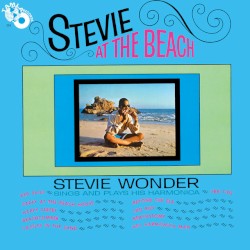 Stevie at the Beach