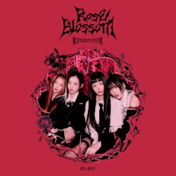 楼宇间盛放的玫瑰