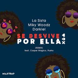 Se desvive por ella (remix)