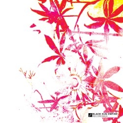 Insiders / Hydroflash