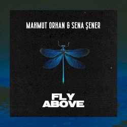 Fly Above