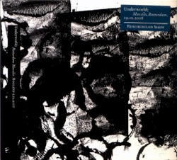 Rotterdam Massilo. Holland 29.01.2008