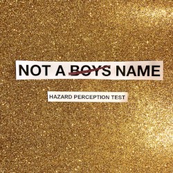 Hazard Perception Text