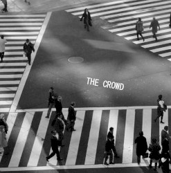 The Crowd