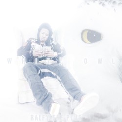 White Owl
