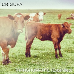 Transhumante (extended)