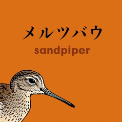 Sandpiper