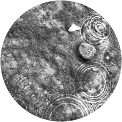 Caldera