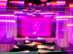 Freeroam 17 :: Write your own confused text