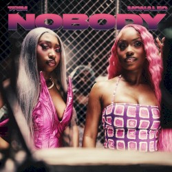 Nobody (remix)