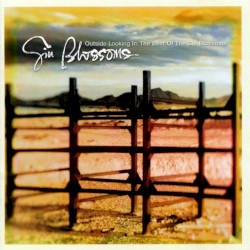 Outside Looking In: The Best of the Gin Blossoms