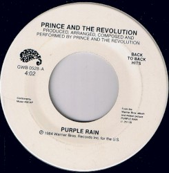 Purple Rain / Raspberry Beret