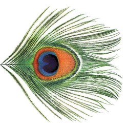 Apple Venus, Volume 1