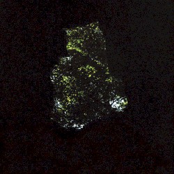 Precipice