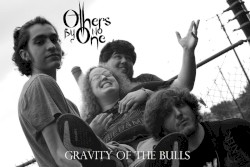 Gravity of the Bulls