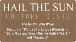 Culture Scars
