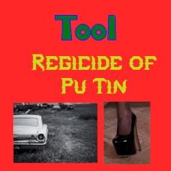Regicide of Pu Tin