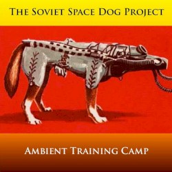 Ambient Training Camp