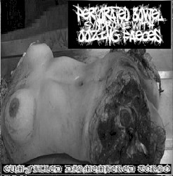 Cum Filled Dismembered Torso