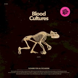 Flowers for All Occasions