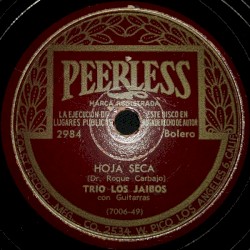 Hoja seca / Toda una vida