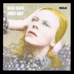 Hunky Dory